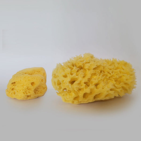 100% Natural Sea Sponges from the Greek Seas