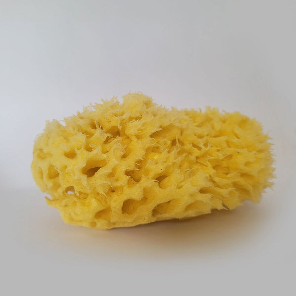 100% Natural Sea Sponges from the Greek Seas