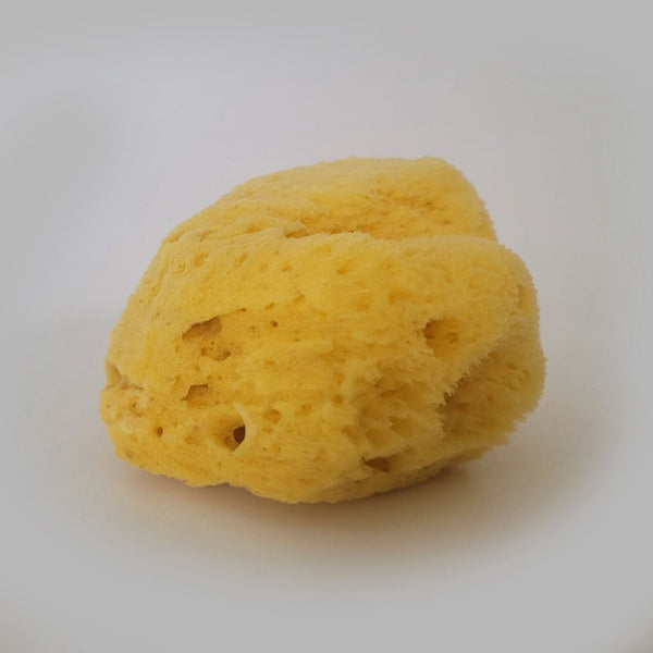 100% Natural Sea Sponges from the Greek Seas