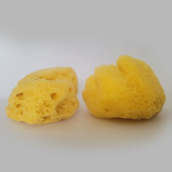100% Natural Sea Sponges from the Greek Seas